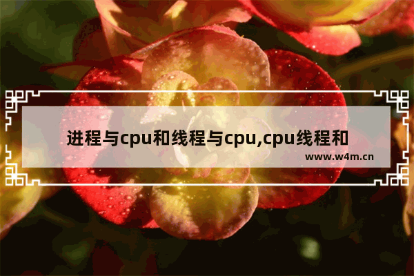 进程与cpu和线程与cpu,cpu线程和程序线程