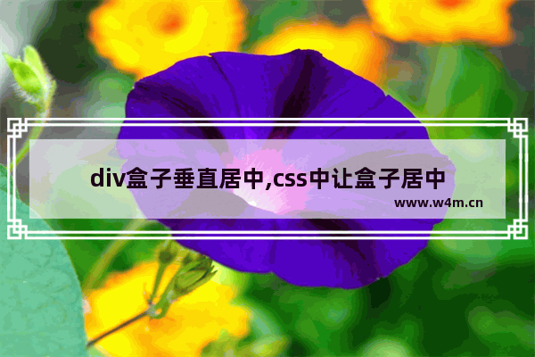 div盒子垂直居中,css中让盒子居中