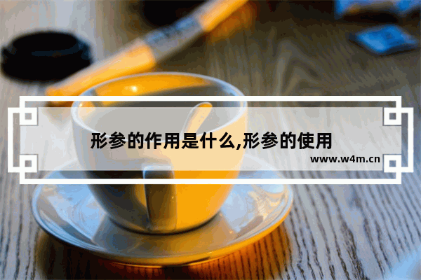 形参的作用是什么,形参的使用