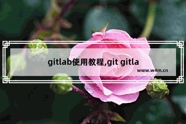 gitlab使用教程,git gitlab使用