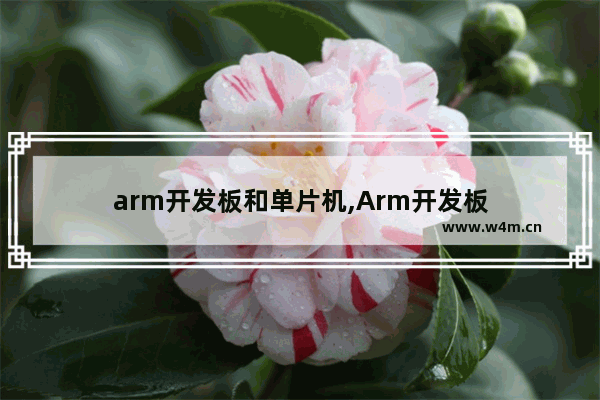 arm开发板和单片机,Arm开发板