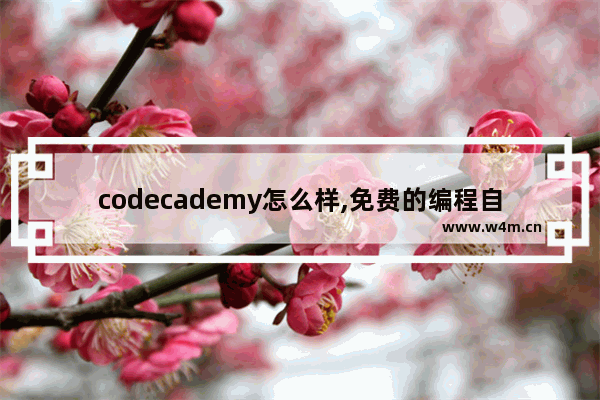 codecademy怎么样,免费的编程自学网站Codecademy