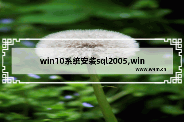 win10系统安装sql2005,win2008安装sqlserver2005