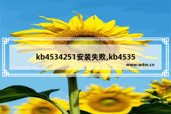 kb4534251安装失败,kb4535102安装失败