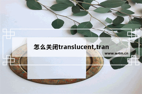 怎么关闭translucent,translucenttb使用教程