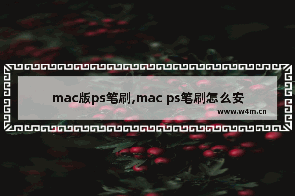 mac版ps笔刷,mac ps笔刷怎么安装