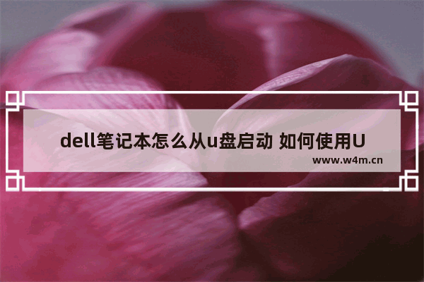 dell笔记本怎么从u盘启动 如何使用U盘启动Dell笔记本