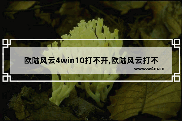 欧陆风云4win10打不开,欧陆风云打不过电脑