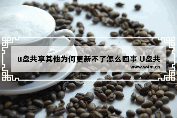 u盘共享其他为何更新不了怎么回事 U盘共享为什么无法更新？