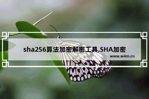 sha256算法加密解密工具,SHA加密算法