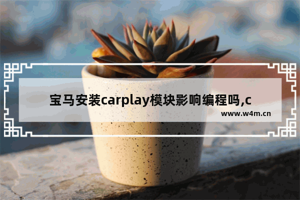 宝马安装carplay模块影响编程吗,carplay需要模块吗