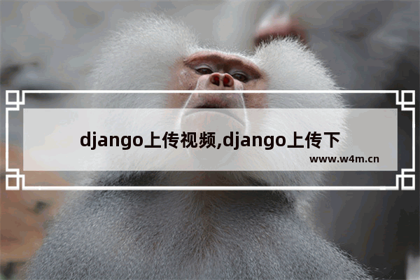 django上传视频,django上传下载