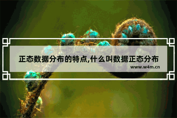 正态数据分布的特点,什么叫数据正态分布