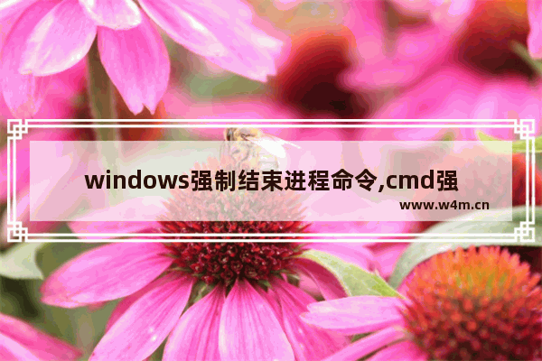 windows强制结束进程命令,cmd强制关闭进程命令