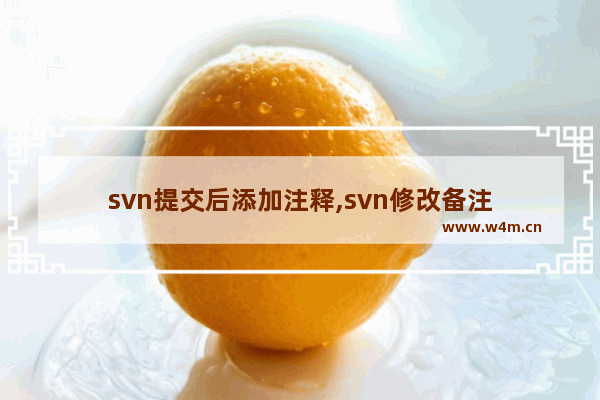 svn提交后添加注释,svn修改备注