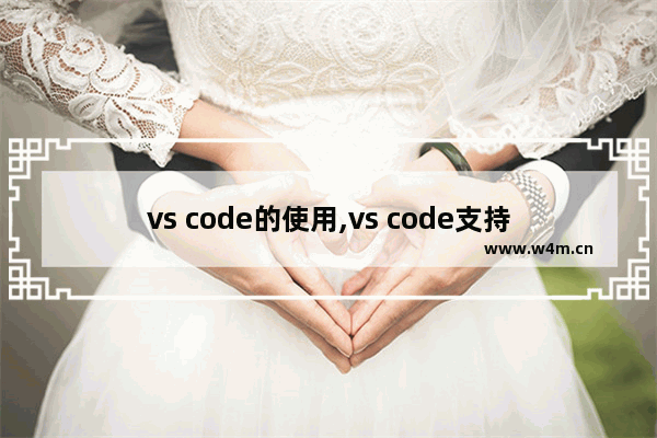 vs code的使用,vs code支持哪些语言