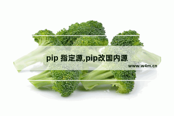 pip 指定源,pip改国内源