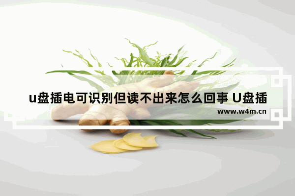 u盘插电可识别但读不出来怎么回事 U盘插电后为何读不出来？