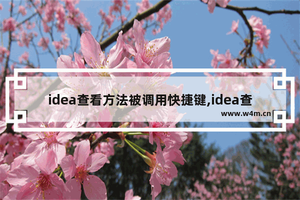 idea查看方法被调用快捷键,idea查看类被引用 快捷键