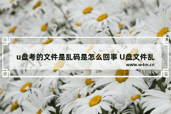 u盘考的文件是乱码是怎么回事 U盘文件乱码解决方法大全