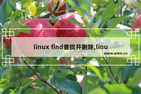 linux find查找并删除,linux find命令删除文件