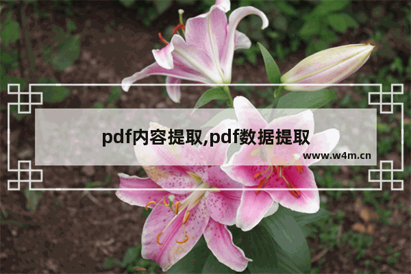 pdf内容提取,pdf数据提取