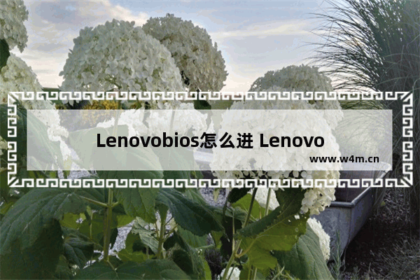 Lenovobios怎么进 Lenovo电脑如何进入BIOS设置界面