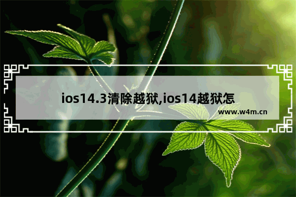 ios14.3清除越狱,ios14越狱怎么清除越狱