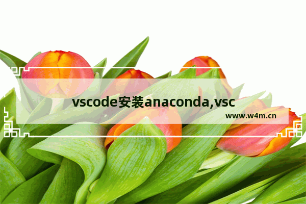 vscode安装anaconda,vscode导入anaconda环境