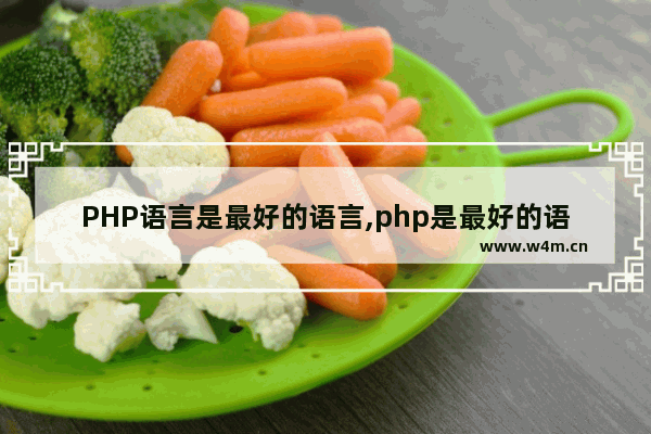 PHP语言是最好的语言,php是最好的语言是什么意思