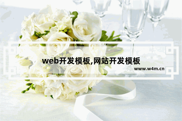 web开发模板,网站开发模板