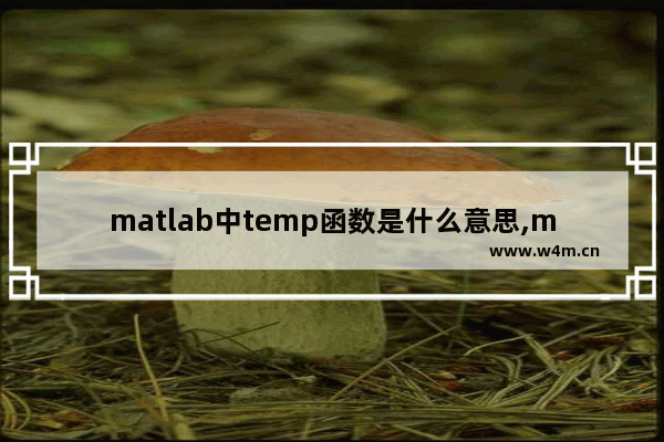 matlab中temp函数是什么意思,matlab里temp