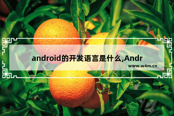 android的开发语言是什么,Android开发用什么编程语言