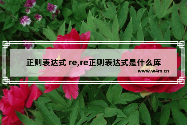 正则表达式 re,re正则表达式是什么库