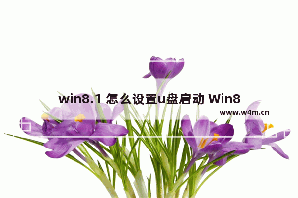 win8.1 怎么设置u盘启动 Win8.1如何使U盘启动