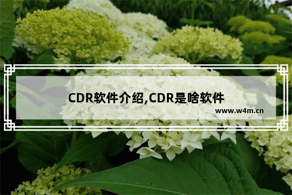 CDR软件介绍,CDR是啥软件