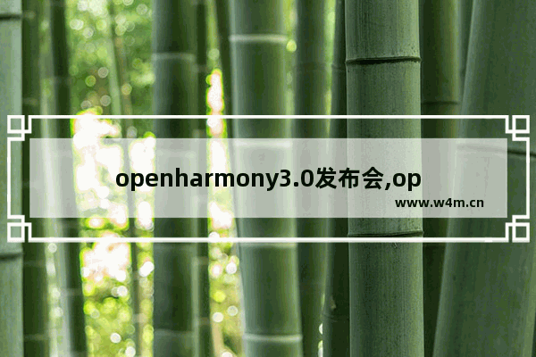 openharmony3.0发布会,openharmony2.0