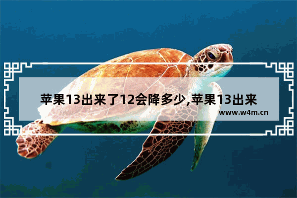 苹果13出来了12会降多少,苹果13出来苹果11大概会降多少