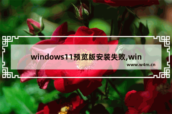 windows11预览版安装失败,win11预览版无法升级正式版