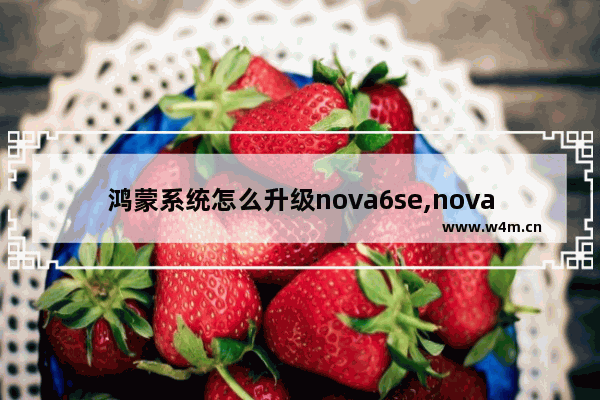 鸿蒙系统怎么升级nova6se,nova6升级鸿蒙