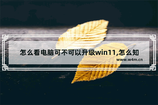 怎么看电脑可不可以升级win11,怎么知道电脑能不能升级win11