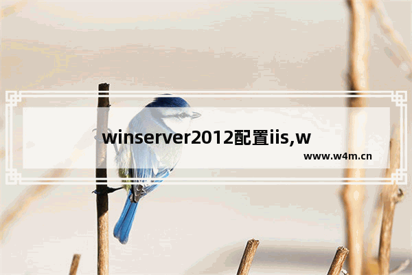 winserver2012配置iis,win2012 iis配置