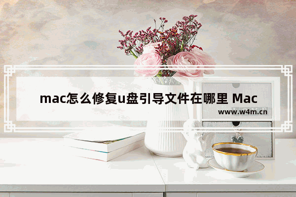 mac怎么修复u盘引导文件在哪里 Mac如何修复U盘引导文件及位置