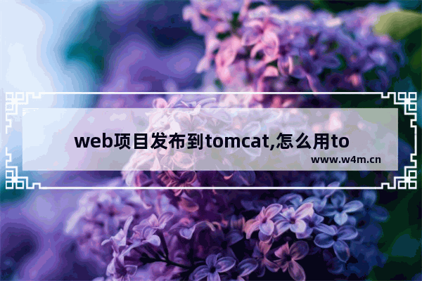 web项目发布到tomcat,怎么用tomcat启动web项目