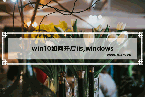 win10如何开启iis,windows开启iis,win7 win10开启IIS服务的教程图解