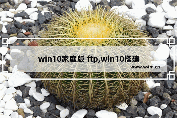 win10家庭版 ftp,win10搭建FTP服务器,局域网共享