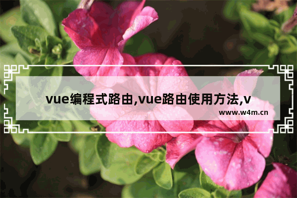 vue编程式路由,vue路由使用方法,vue 开发之路由配置方法详解