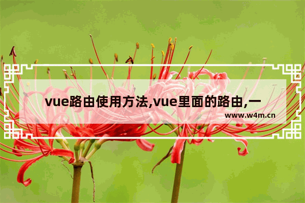 vue路由使用方法,vue里面的路由,一篇文章带你了解vue路由