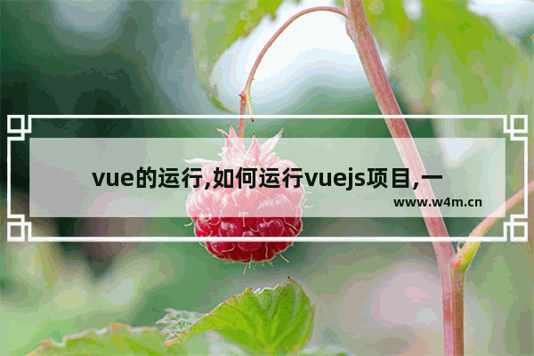 vue的运行,如何运行vuejs项目,一文教会你如何运行vue项目