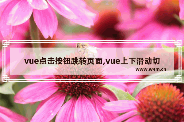 vue点击按钮跳转页面,vue上下滑动切换页面,Vue实现点击按钮进行上下页切换